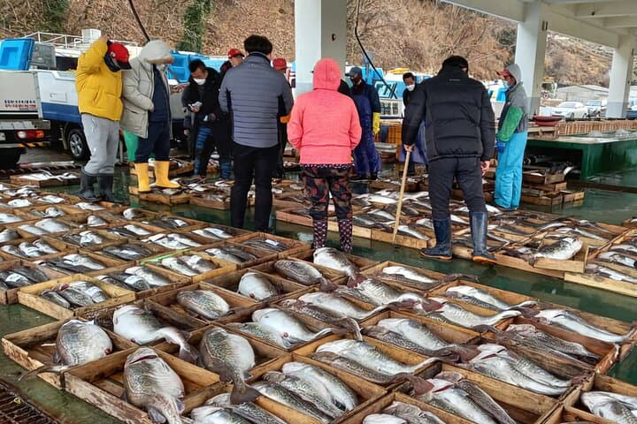 Busan to Geoje: Winter Cod & Clam Auctions Seafood Market Tour photo 2