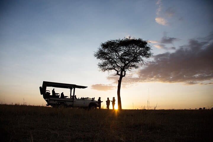 Safari Kitendo: Luxury 12-Day Northern Tanzania Safari (July–September) photo 4