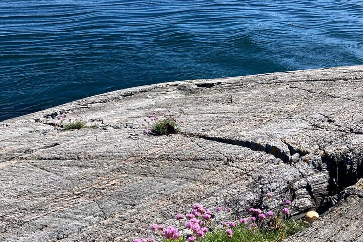 Drive the Atlantic Road: Private Day Tour from Ålesund photo 6