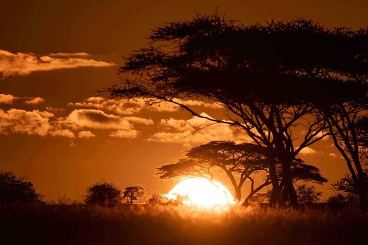 Safari Kitendo: Luxury 12-Day Northern Tanzania Safari (July–September) photo 5