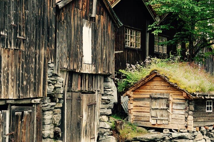 Private Tour from Ålesund to Geiranger: Full-Day Fjord Drive with Flydalsjuvet & Eagle Road