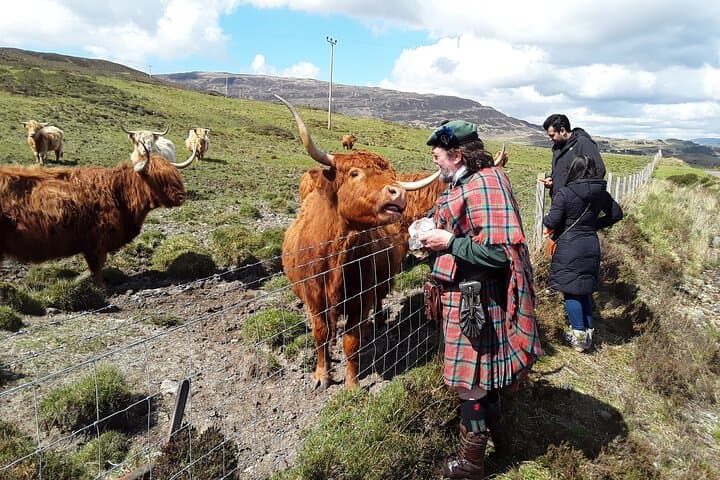 Road to the Isles & Skye: Full-Day Private Guided Tour from Inverness