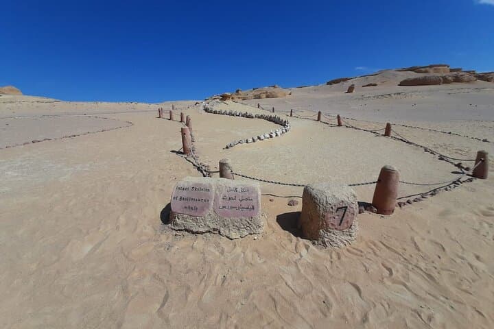Fayoum Oasis & Wadi El Hitan 4x4 Safari Day Trip from Cairo photo 2