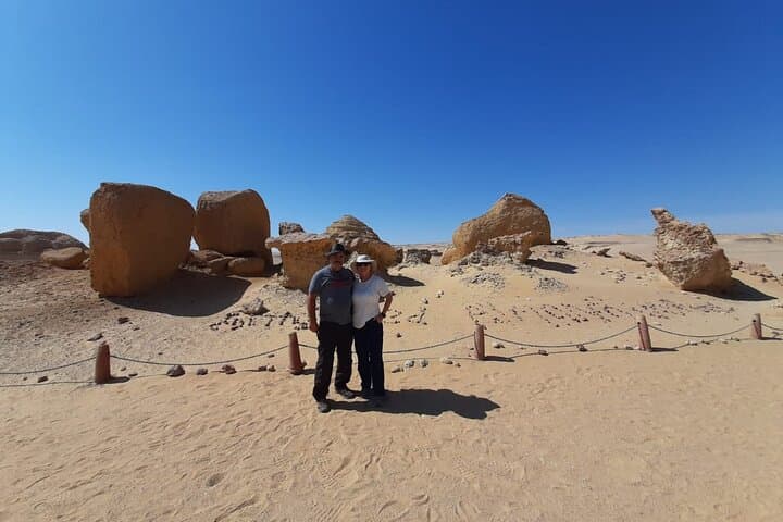 Fayoum Oasis & Wadi El Hitan 4x4 Safari Day Trip from Cairo photo 4