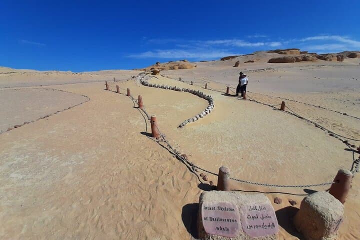 Fayoum Oasis & Wadi El Hitan 4x4 Safari Day Trip from Cairo photo 6