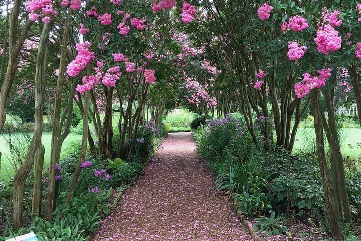 Private Tour of Andrew Jackson’s Hermitage: Mansion, Grounds & Plantation History photo 2