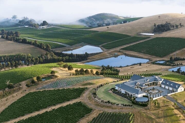 Helicopter Winery Lunch to Levantine Hill — Yarra Valley Scenic Flight & Degustation