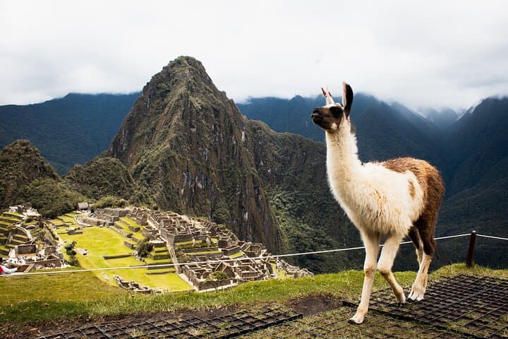 Full-Day Machu Picchu by Train from Cusco — Small-Group Guided Tour
