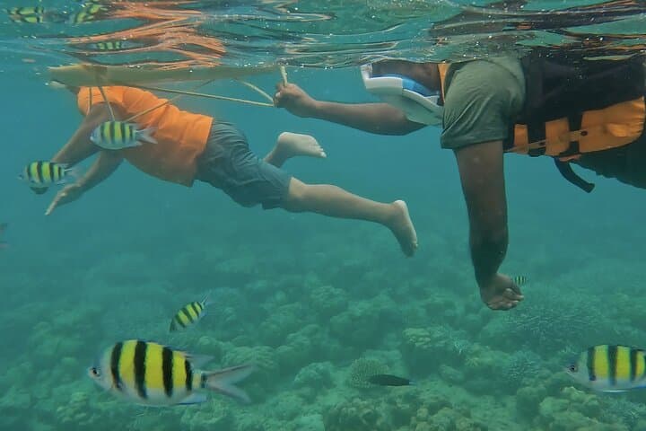 6-Day Andaman Island Hopping: Port Blair, Havelock & Neil Beaches photo 4