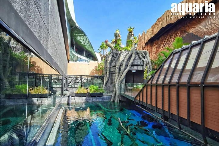 Aquaria Phuket and AR Trick Eye Museum Combo Tickets: Underwater Encounters and 4D Illusions photo 4