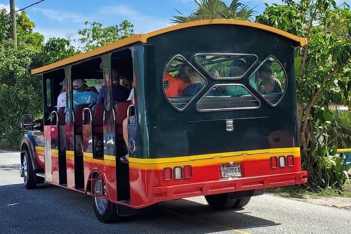 Private St. John Beach-Hopping Safari — Customize Your Day from Cruz Bay photo 5