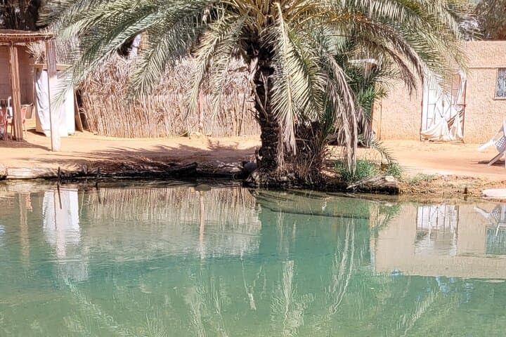 Private Desert Getaway from Djerba: 2-Day Berber Camp, Troglodyte Villages & Camel Markets photo 2