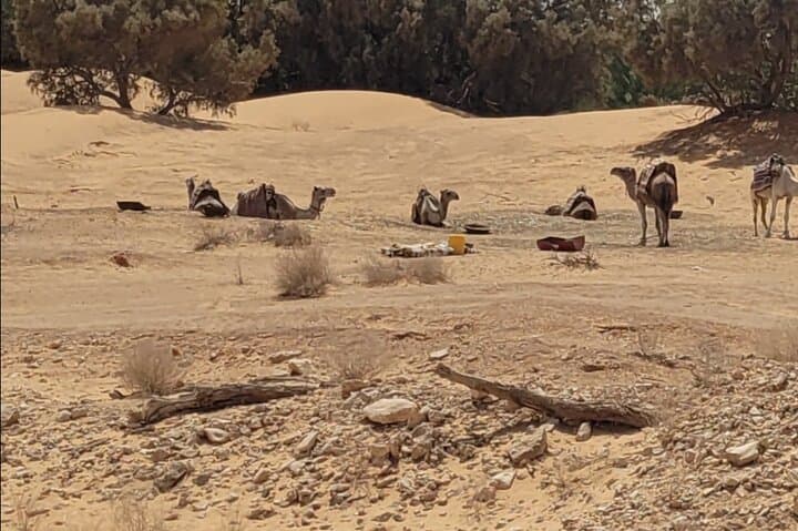 Private Desert Getaway from Djerba: 2-Day Berber Camp, Troglodyte Villages & Camel Markets photo 3