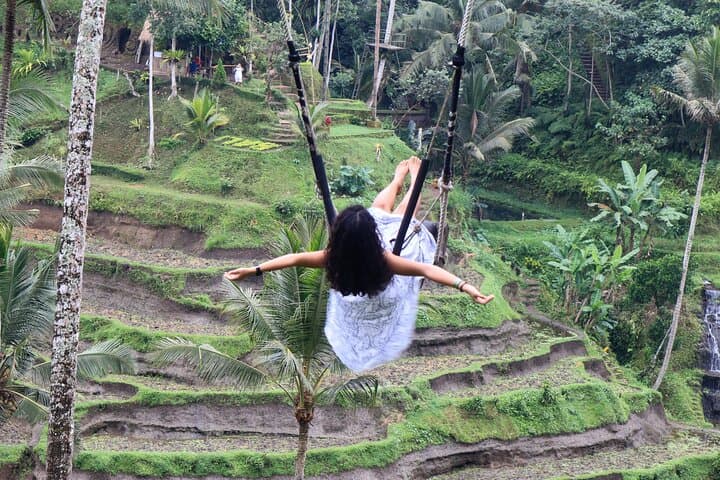 Private Ubud Day Tour: Waterfall, Rice Terrace & Monkey Forest photo 6