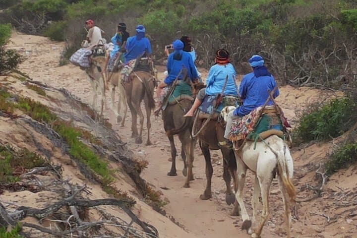Essaouira 1-Hour Camel Ride on the Beach — Discovery Tour photo 5