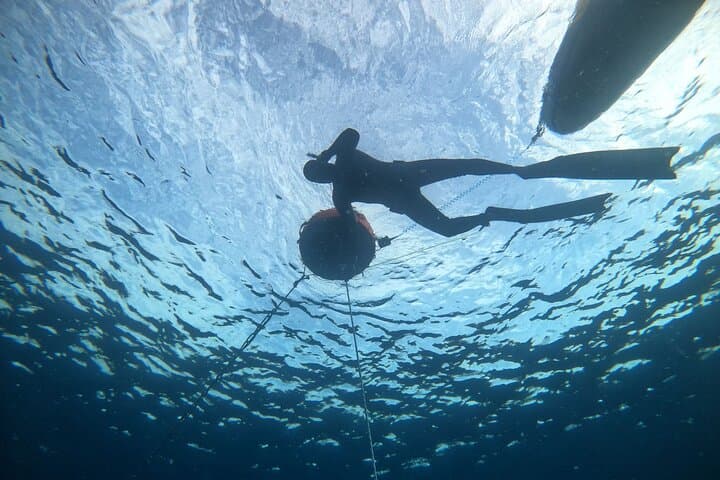 Freediving Museo Atlántico: Guided Freedive Among Lanzarote’s Underwater Sculptures photo 6