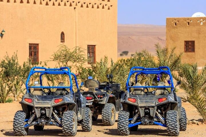 Half-Day Buggy Adventure in Marrakech's Palm Grove