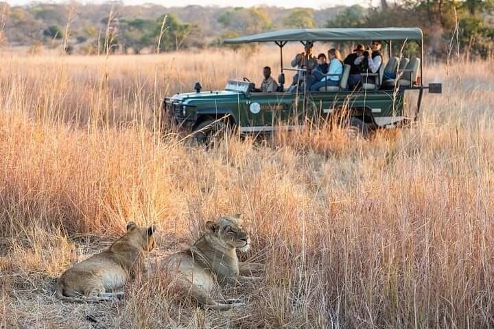 Full-Day Chobe Safari: River Cruise and Game Drive from Livingstone photo 6