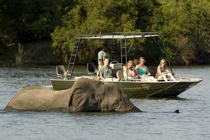 Full-Day Chobe Safari: River Cruise and Game Drive from Livingstone photo 4