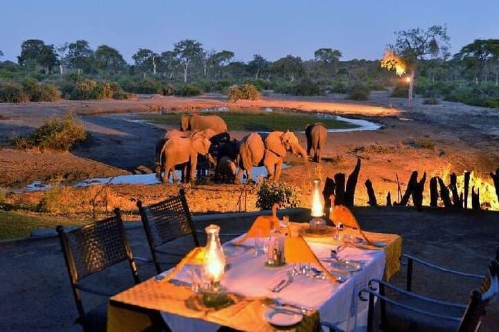 5-Day Garden Route & Addo Elephant Adventure from Cape Town — Knysna, Tsitsikamma & Cango Caves