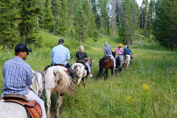 Teton View Horseback Ride with Lunch — Ann's Ridge Loop in Bridger-Teton photo 3