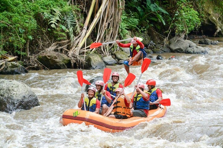 Ayung River White-Water Rafting from Ubud — Private Small-Group Adventure