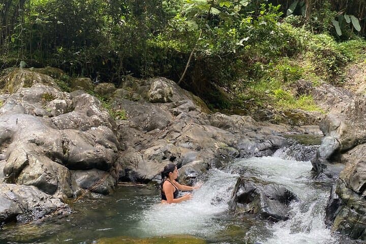 Half-Day El Yunque Rainforest Tour to Las Tinajas Natural Water Slides photo 3