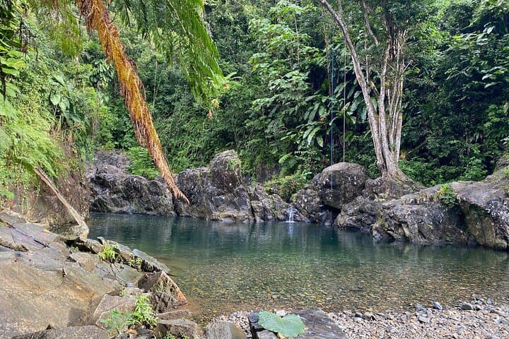 Half-Day El Yunque Rainforest Tour to Las Tinajas Natural Water Slides photo 6