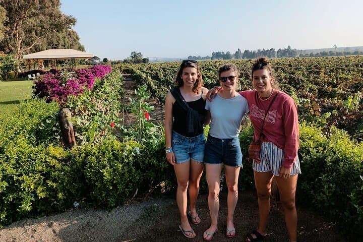 Sunset Buggies & Pisco Route: Huacachina Sandboarding and Vineyard Tasting photo 4