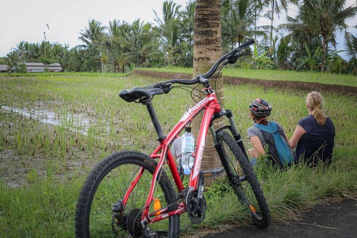 Ubud to Pakerisan: A Gentle Cultural Cycling Route Through Bali’s Rice Valleys photo 1