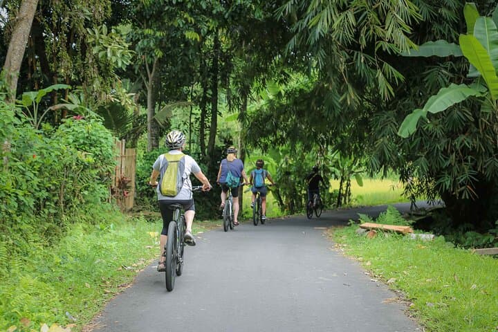 Ubud to Pakerisan: A Gentle Cultural Cycling Route Through Bali’s Rice Valleys photo 4