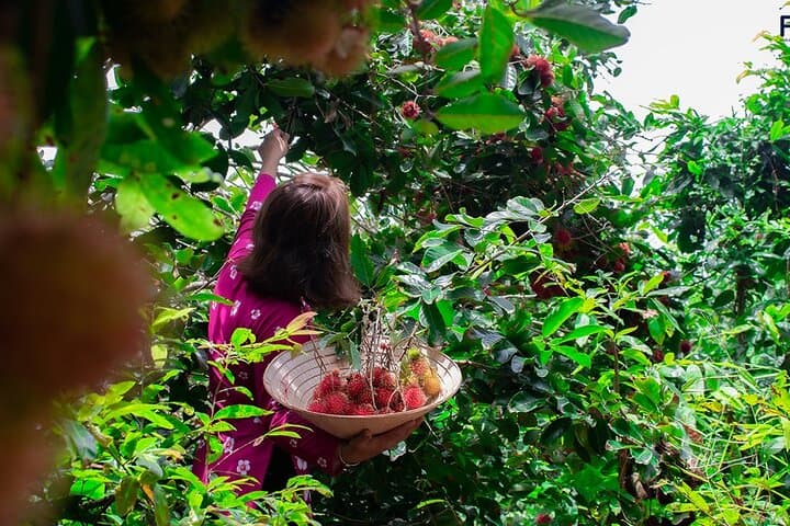 Cai Rang & Son Islet: 2-Day Can Tho Floating Market and Homestay Experience photo 4