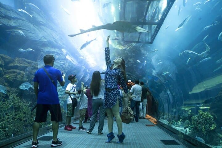 Burj Khalifa and Dubai Aquarium Combo: Top Views and Underwater Tunnel Guide photo 2