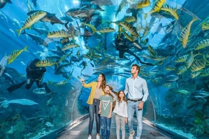 Burj Khalifa and Dubai Aquarium Combo: Top Views and Underwater Tunnel Guide photo 3