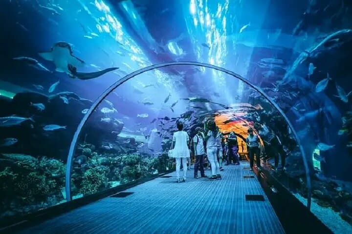 Burj Khalifa and Dubai Aquarium Combo: Top Views and Underwater Tunnel Guide photo 4
