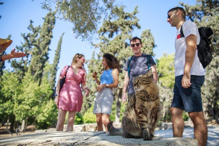 Athens Acropolis and Parthenon Walking Tour: Guided 2-Hour Exploration of Ancient Athens photo 2