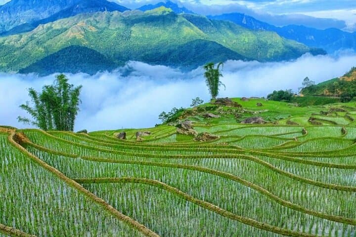Ha Giang to Sapa: 8-Day Mountain Trail Explorer in Northern Vietnam photo 2