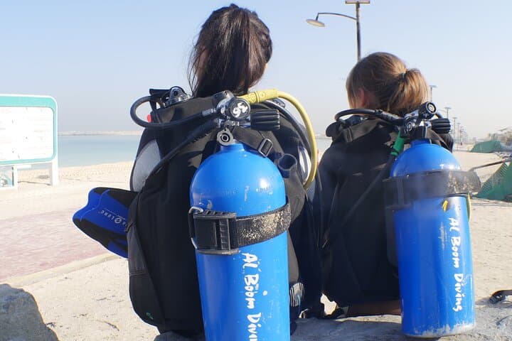 Discover Scuba Diving in Dubai: Pool Intro and Jumeirah Beach Introductory Dive photo 5