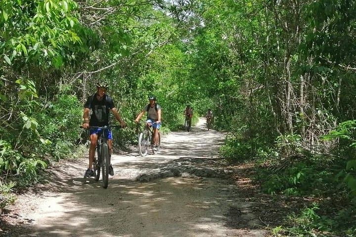 Jungle Bike Tour to a Hidden Cenote from Playa del Carmen: Ride, Swim, Discover photo 4
