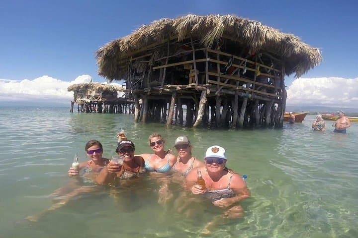YS Falls and Pelican Bar: South Coast Full-Day Private Tour from Negril