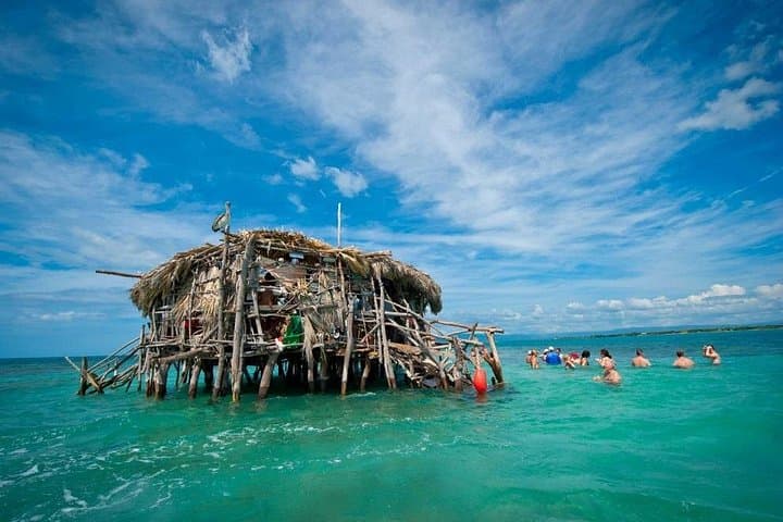 YS Falls and Pelican Bar: South Coast Full-Day Private Tour from Negril photo 2
