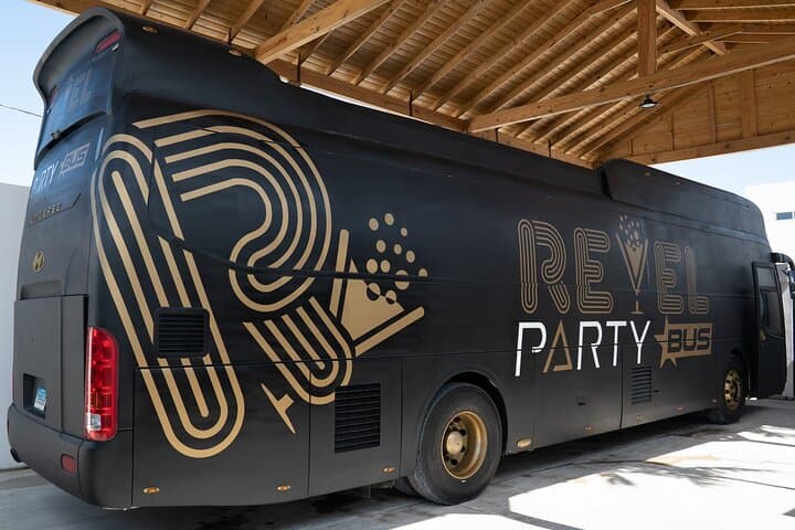 Punta Cana Luxury Party Bus: Private Group Rental with DJ & Open Bar
