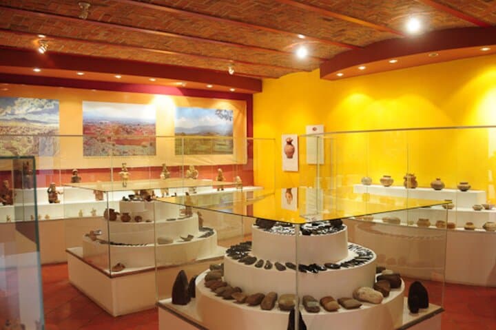 Guachimontones and Tequila Private Day Tour — Agave Fields, Archaeology & Artisanal Tequila photo 5