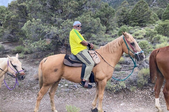 Las Vegas Mountain Horseback Riding Adventure on Mount Charleston photo 6
