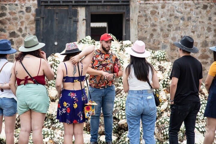 Guachimontones and Tequila Private Day Tour — Agave Fields, Archaeology & Artisanal Tequila photo 6