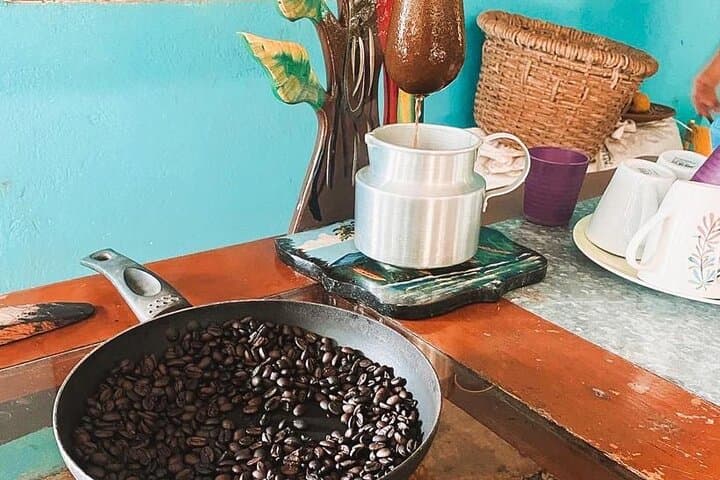 Nosara ATV Waterfall & Organic Coffee Farm Tour — Full‑Day Adventure photo 6