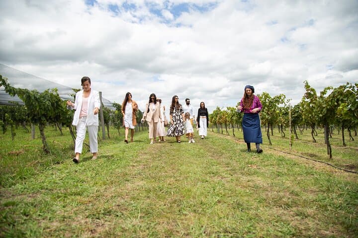 Bodega Gamboa Wine Tasting and Gourmet Lunch — Small-Group Day Trip from Buenos Aires photo 5