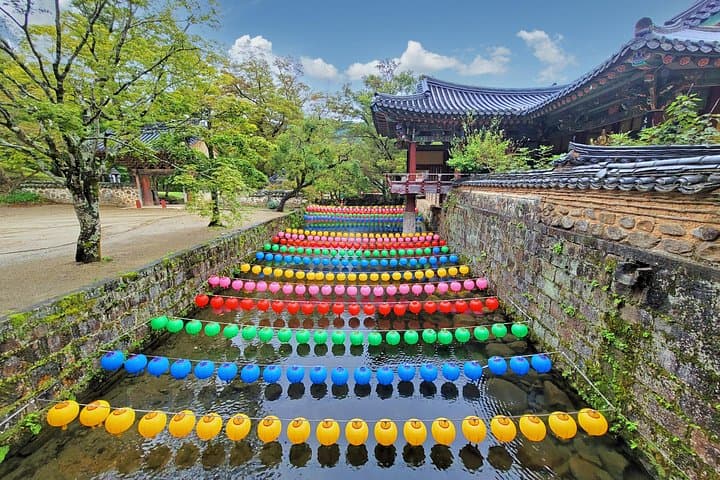 Suncheon One-Day Cultural and Wetland Tour: Tongdosa, Naganeupseong & Suncheon Bay