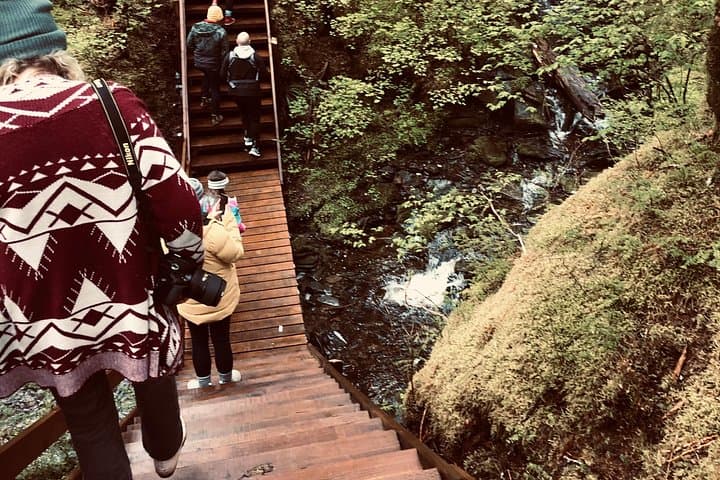 Alaska Bigfoot Adventures: UTV Ride and Deep-Woods Hike Near Ketchikan
