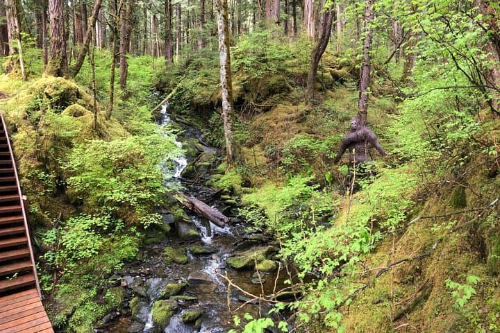 Alaska Bigfoot Adventures: UTV Ride and Deep-Woods Hike Near Ketchikan photo 3